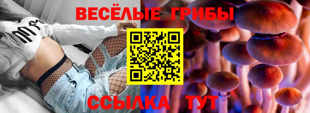 Галлюциногенные грибы ЛСД  Вход с VPN  Великие Луки 